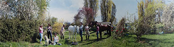 Stables on Dr. Young's Property, 3226 W. 51st, Vancouver by Scott McFarland sold for $18,750