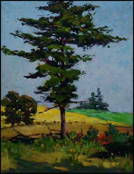 Pine on the Hilltop by Elizabeth Annie McGillivray Knowles vendu pour $978