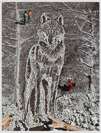 Wolf by Vik Muniz sold for $5,000