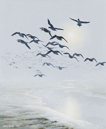 Pintails and Wigeon Coming Out of the Mist at Ebb Tide by Peter Scott sold for $5,000