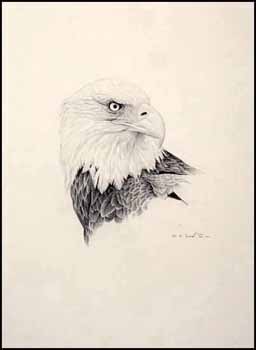 Bald Eagle by Martin Glen Loates vendu pour $1,150