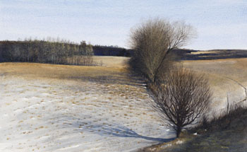 Field in December by Ken Tolmie sold for $563