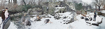 Display for Porcupines (Hystrix africae australis), Zoologischer Garten, Berlin by Scott McFarland sold for $15,000