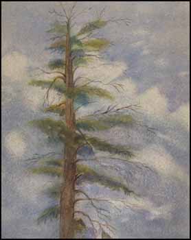Tree Study by Circle of Emily Carr sold for $4,600