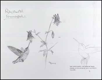 Ruby-Throated Hummingbird and Columbine by Martin Glen Loates sold for $518