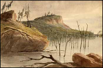 Drowned Forest, Rideau Canal by Early 19th Century Canadian School sold for $920