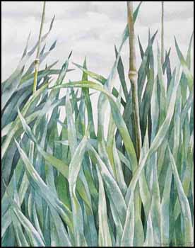 Grasses (with Bamboo) (00780/2013-582) by Jo Manning vendu pour $162