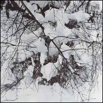 Fallen Branch in Snow (01576/2013-2471) by Judy Gouin sold for $108