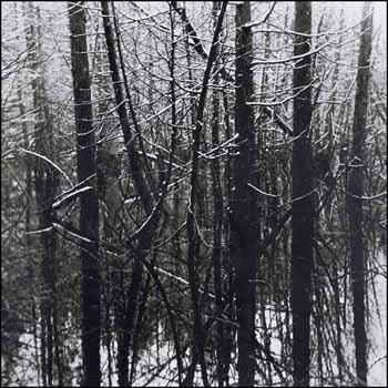 Beaver Swamp, Spring Snow III (02141/2013-1285) by Judy Gouin sold for $313