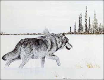 Lone Wolf (02143/2013-1234) by Randy Fehr sold for $250