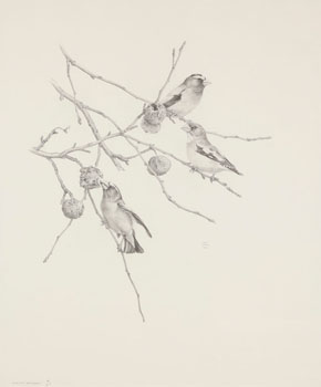 Evening Grosbeaks (03299/479) by Martin Glen Loates sold for $3,125