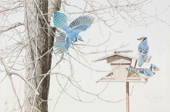 Blue Jays at My Feeder (03355/238) by Martin Glen Loates vendu pour $375