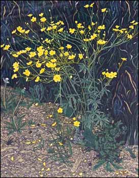 Buttercups (02258/2013-744) by David Peter Hunsberger sold for $156