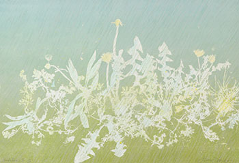 Dandelion III (03978) by Anna Chou Ying Wong sold for $180