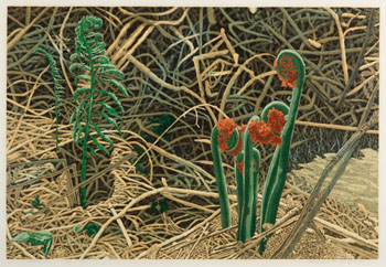 Fiddleheads (03419/383) by David Peter Hunsberger sold for $156