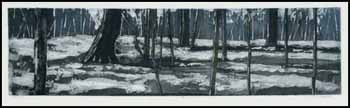 Forest Floor (00561/2013-T658) by Douglas Forsythe sold for $81