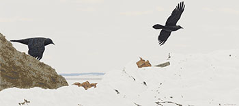 Ravens at the Dump par Alexander Colville