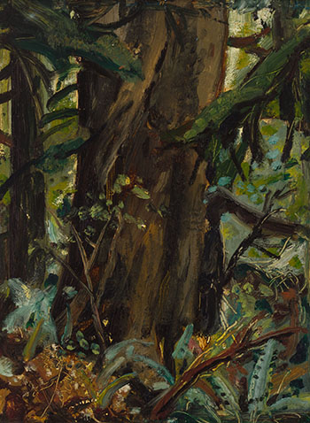 Big Spruce, Forest, B.C. by Arthur Lismer