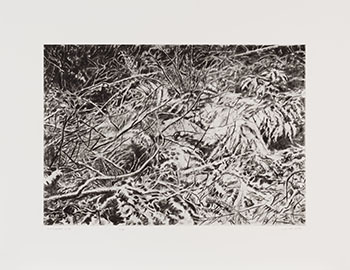 February Snow by Gordon Appelbe Smith