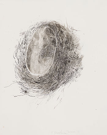 Nest by Betty Roodish Goodwin
