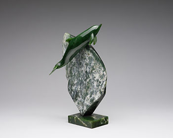 Dolphin by Lyle Sopel