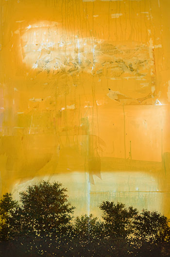 Beginning by Peter Hoffer