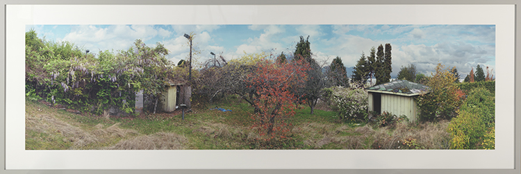 Orchard View, The Effects of Seasons (Variation #1) par Scott McFarland