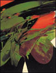 Record Marcelle Ferron sale - Heffel Gallery - buy and sell art