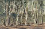Record Stanley Morel Cosgrove sale - Heffel Gallery - buy and sell art