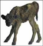 Record Joseph Hector Yvon (Joe) Fafard sale - Heffel Gallery - buy and sell art