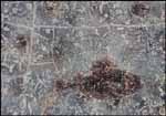 Record Jacques Godefroy de Tonnancour sale - Heffel Gallery - buy and sell art