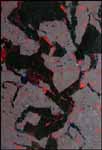 Record Marcelle Maltais sale - Heffel Gallery - buy and sell art