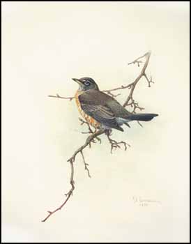 Robin by James Fenwick Lansdowne sold for $5,750
