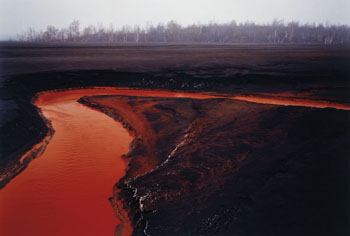 Nickel Tailings #39, Sudbury, Ontario by Edward Burtynsky vendu pour $64,900