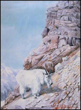 Mountain Goat by Charles Warburton Young sold for $110