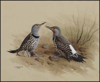 Red-Shafted Flicker by James Fenwick Lansdowne sold for $4,425