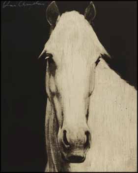 Black Horse Head by Joe Andoe sold for $2,000