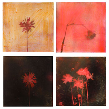 Painting 240499-10, 240499-3, 240499-2 and 240499-6 by Les Thomas sold for $750