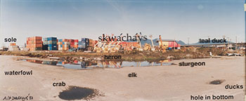 skwácháýs by Christos Dikeakos sold for $250