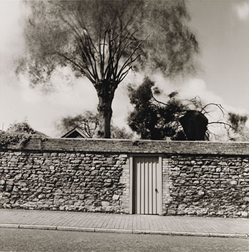 A Winchelsea Garden by Fay Godwin sold for $375