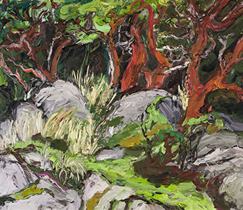 Arbutus at Lighthouse Park by Vicky Marshall sold for $1,375