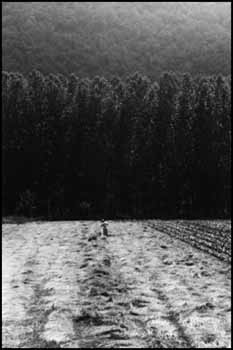 France environs du Cahors by Edouard Boubat sold for $1,495