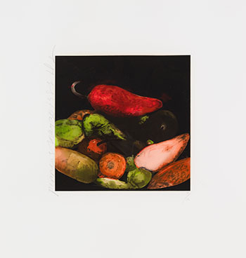 Peppers by Donald Sultan vendu pour $625