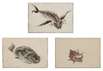 Three Japanese School Fish Study Paintings, circa 19th Century by 19th Century Japanese Art sold for $875