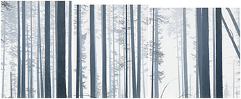 Forest in Fog by Nathan Birch vendu pour $2,500