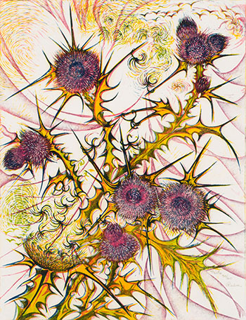 Thistle by Richard Calver sold for $1,125