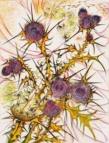 Thistle by Richard Calver vendu pour $1,125