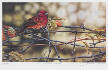Tangled Garden by Terrence Andrews sold for $94