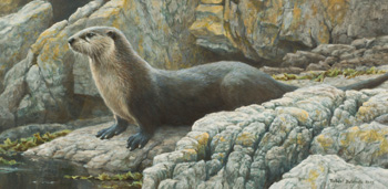 Shoreline - Otter by Robert Bateman vendu pour $61,250