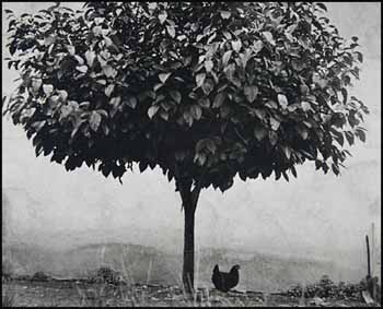 Chicken and Tree, France by Edouard Boubat sold for $3,450